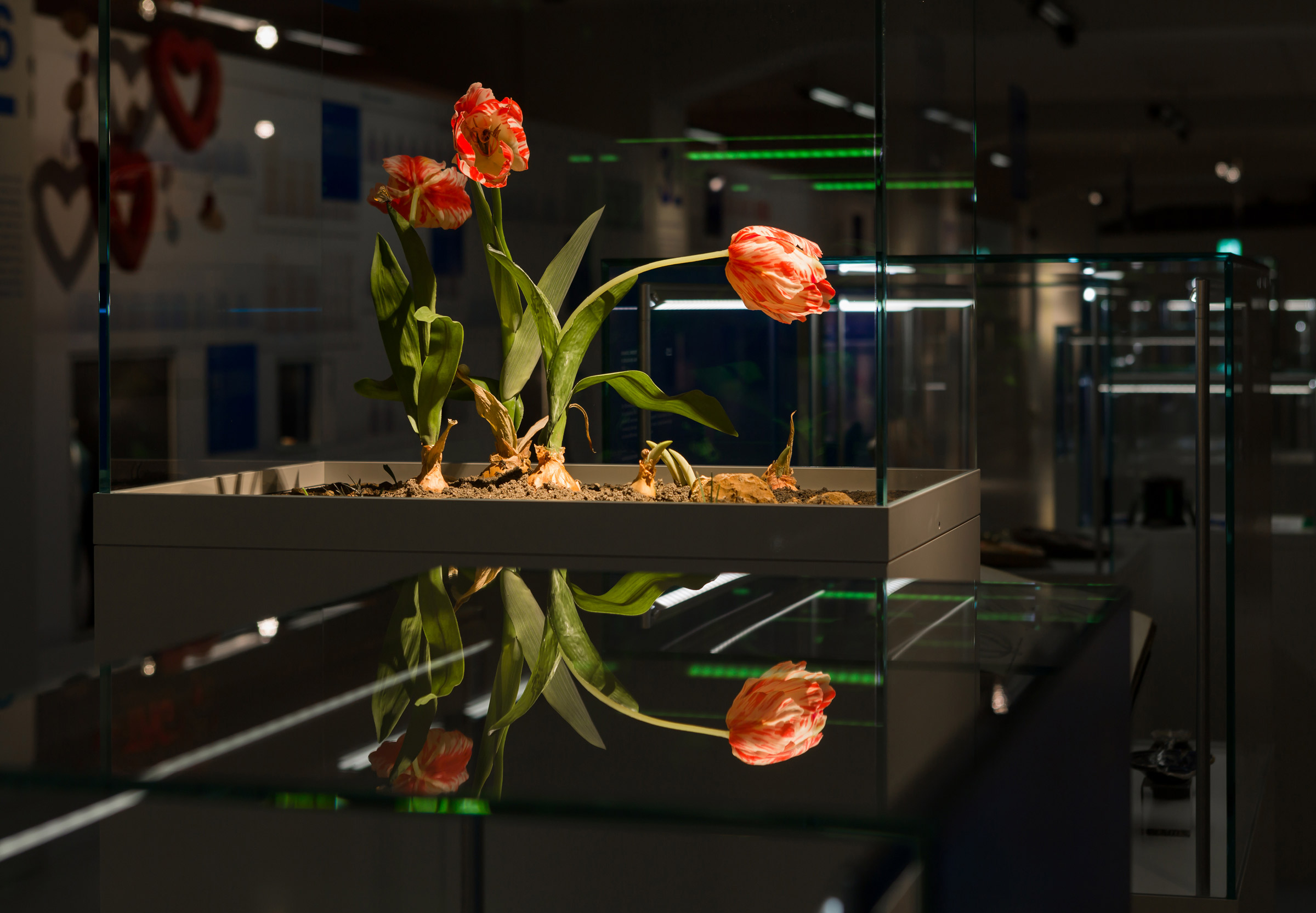 Montags im Museum - 03